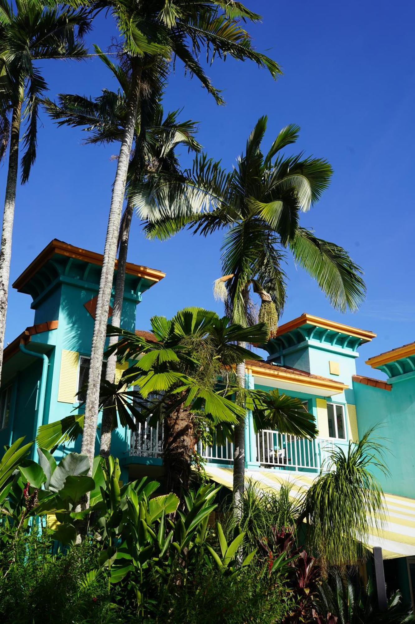 Casa Papaya Adults Only Apartment 道格拉斯港 外观 照片